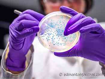 E. coli outbreak declared at Blackfalds child-care centre: Alberta government