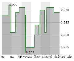 Meridian Mining Unternehmens-Teaser