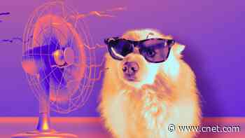 Keep Your Home Cool While Cutting Your Energy Bills