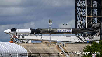 FAA grounds SpaceX after rocket falls over in flames at landing