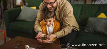 3,75 % Zinsen für Ihr Tagesgeld: So profitieren Sie bei der TF Bank vom Angebot!