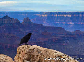 Grand Canyon water main breaks prompt shutdown of hotel stays
