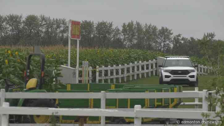 Victim and suspect in Edmonton Corn Maze homicide were on outing from Alberta Hospital: sources