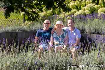 Alain (62) fietst 1.000 kilometer in 2,5 dagen voor zieke schoonzus Winde (49)