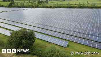 Food or solar? Farmers divided over land use