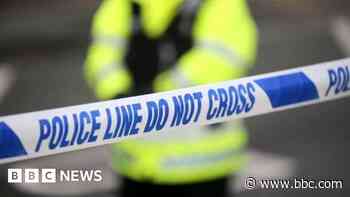Burglary arrests after 200 cannabis plants found