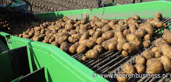 Wordt Innovator de smaakmaker dit seizoen?