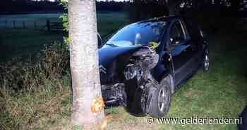 Automobilist gewond bij botsing tegen boom in Tiel