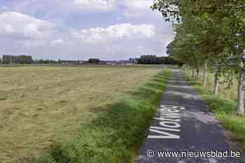 Stal met asbest in dak vat vuur in Maldegem, 500 varkens overleven hevige brand niet