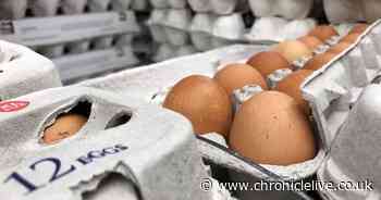 Major supermarket egg changes at Tesco, Asda Morrisons and Sainsbury's due to new government regulations