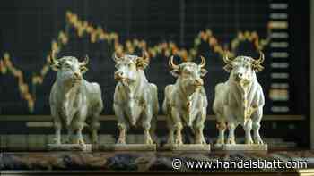 Geldanlage : Vier aus 600: Bei diesen Aktien steigen Kurse und Dividenden auf Dauer