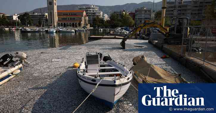 Greece tourist port flooded with hundreds of thousands of dead fish