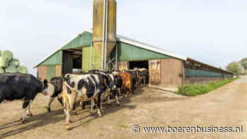 Melkveehouder houdt vijf mensen aan het werk
