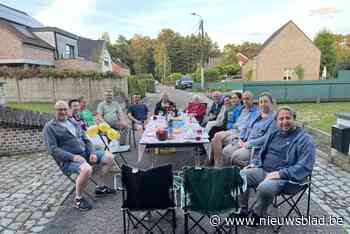 Tien huizen en acht buren die op een lijst staan, vaak bij een andere partij: en toch is de Maria Ter-heidelaan een heel leuke straat