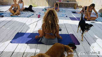 Al Baubeach un week-end di Yin Yoga con musica, aromi, colori e cani