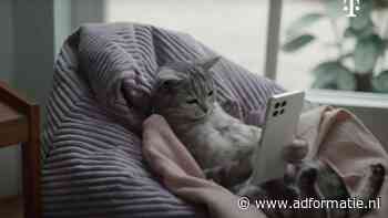 Deutsche Telekom reageert op copycat-commercial: ‘Wij kenden de KPN-reclame met kat niet’