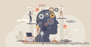 The Information Entering Our Brains Dwarfs The Amount Coming Out — Why?