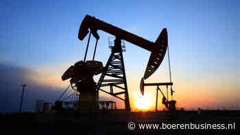 Rally op oliemarkt van korte duur