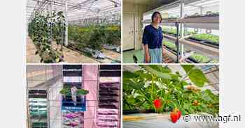 Japan: de kloof overbruggen tussen wetenschappelijk onderzoek en zakelijke kansen