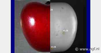 Optische scanner voor detecteren van ongedierte op fruit