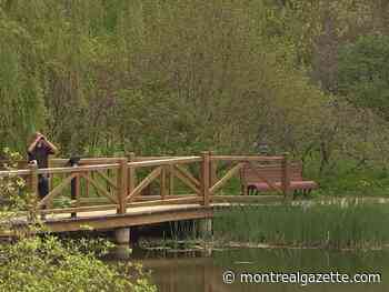What's open and closed on Labour Day in Montreal