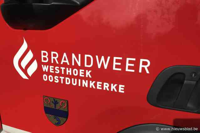 Brandweer blust kampvuurtje die jongeren ‘s ochtends in tuin maken