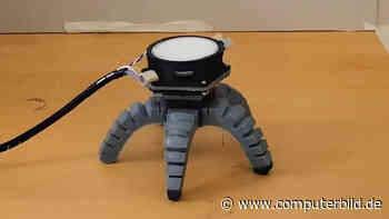 Ein Pilz kann diesen Roboter steuern