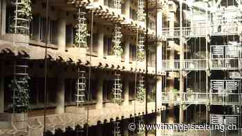 Der Natur auf der Spur