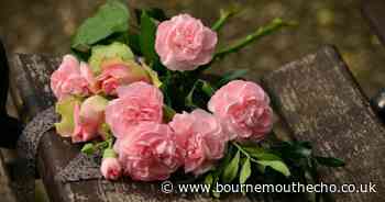 'Profound sadness' as family pay tribute to pedestrian killed in crash