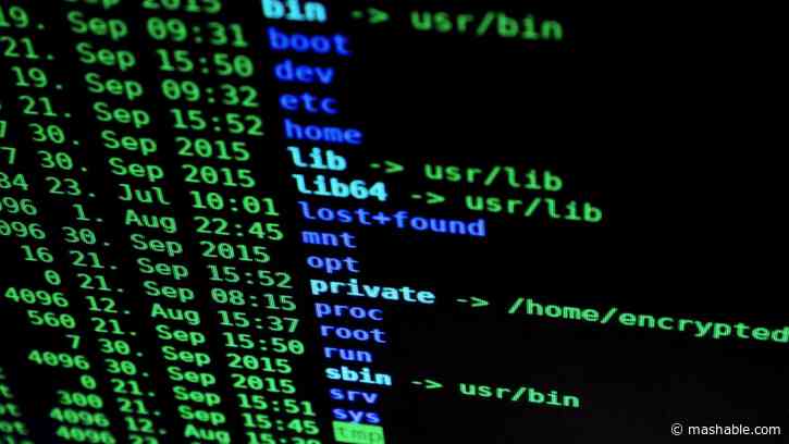 Get 169 hours of exam prep for Cisco and CompTIA certifications for £23