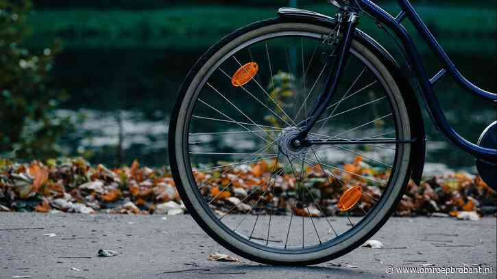 12-jarig meisje verkracht in weiland, 3 jaar cel voor Dylano (21)