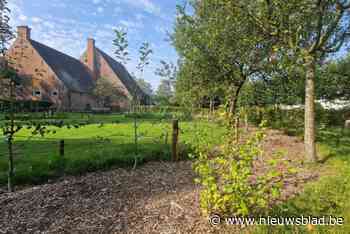 IN BEELD. Historische hoevetuin maakt zich op voor de officiële voorstelling
