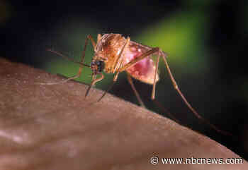 Missouri teenager left paralyzed and on a ventilator from West Nile virus