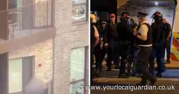 Croydon police launch fundraiser after dogs 'thrown from balcony'