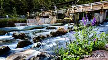 Monhardter Wasserstube: Handwerkliche Mängel beanstandet