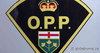 OPP turn to $50K reward to help solve fatal November 2023 hit and run