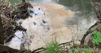 Ealing campaigners to join Feargal Sharkey water clean-up protest