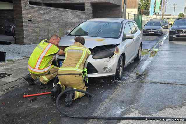 Geparkeerde wagen vat plots vuur, brandweer kan snel blussen