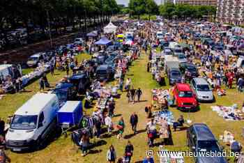Zomereditie van Left Over rommelmarkt met 500 kraampjes is grootste van Antwerpen