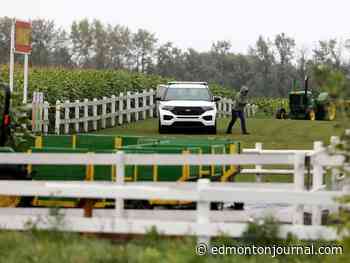 Accused, victim in Edmonton Corn Maze killing had been confined to psychiatric hospital for past assaults: documents