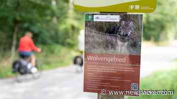 Staatssecretaris wil landelijk team voor plaatsen wolfwerende hekken