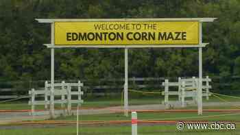 Accused in Edmonton Corn Maze killing found not criminally responsible in previous cases