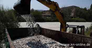 Spätfolge einer Überschwemmung: Griechische Hafenstadt kämpft mit Tonnen von toten Fischen