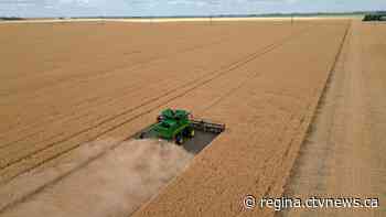 Sask. producers have 25% of crops harvested, ahead of 5-year average
