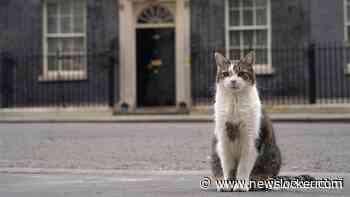 'Downing Street bereidt zich voor op overlijden Larry the cat'