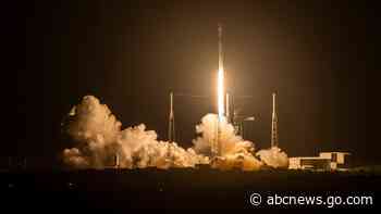 FAA grounds SpaceX after rocket falls over in flames at landing