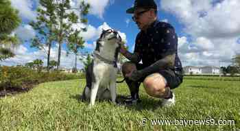 Tampa Bay man shares impact pause on stay in place parole program is having on his immigration process