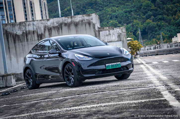 Tesla will mit neuen Model Y-Modellen Marktanteile sichern