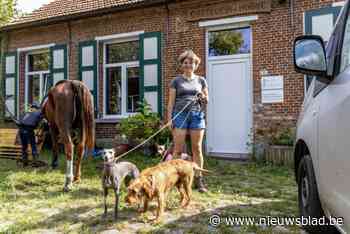 Anderhalf jaar nadat ze werd weggepest heropent Katrin ‘hotel’ voor honden: “De steun van mijn klanten was magisch”