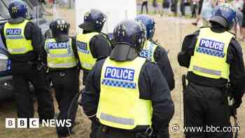 Grandmother could face jail over violent disorder - judge